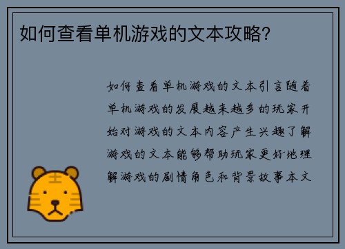 如何查看单机游戏的文本攻略？